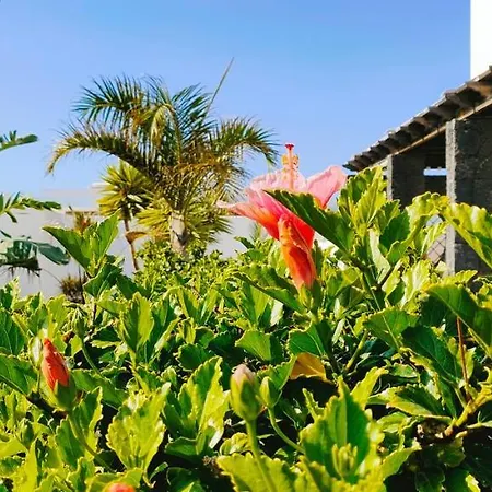 Vila Fedelian Avec Jardin Et Piscine Chauffee *